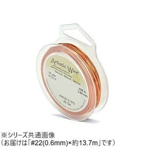 AW ワイヤー(オールドスプールス) ナチュラル22(0.6Φ) 22(0.64mm)約13.7m