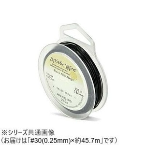 AW ワイヤー(オールドスプールス) ブラック30(0.25Φ) 30(0.25mm)約45.7m