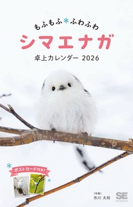 日历/月历 桌历
