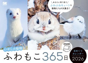 日历/月历 蓬松