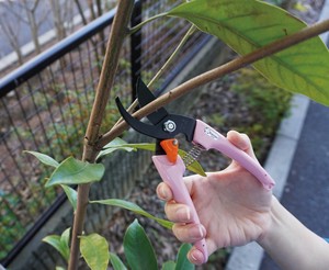 Gardening Item Ladies fashion