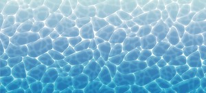 【夏】　ディスプレイシート/店舗装飾・イベント用品