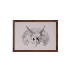 DULTON (ダルトン) アート フレーム ART FRAME TRICERATOPS [Y-0935TR]