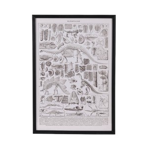 DULTON (ダルトン) アート フレーム ART FRAME PALEONTOLOGIE [Y-0935PA]