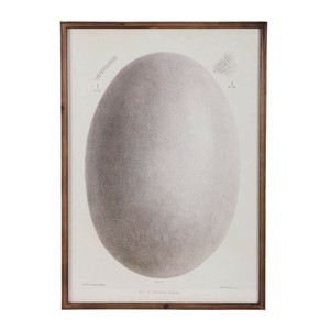 DULTON (ダルトン) アート フレーム ART FRAME EGG [Y-0935EG]