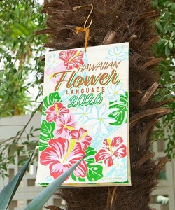 手帐/日记本 花 2025年 秋冬新品