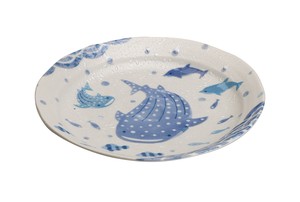 大餐盘/中餐盘 鲸鲨 24cm 日本制造