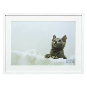 ナカバヤシ　木製写真額/W四ツ切/ホワイト　F-SW-116-W