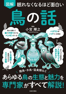 Pets/Animals Book