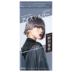 ビューティーンメイクアップC　アイスシルバー