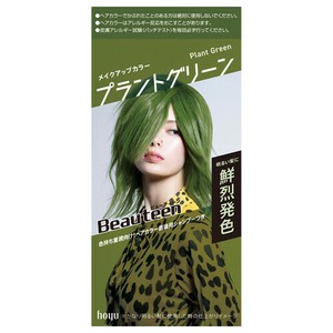 ビューティーンメイクアップC　プラントグリーン