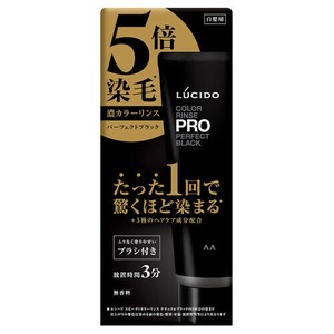 LCカラーリンスPRO　パーフェクトブラック