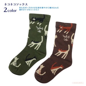 Socks Socks