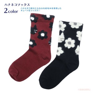 Socks Socks