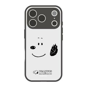 IIIIfit プランプフレーム 2025 iPhone 6.3 inch_3 LENS model対応ケースフェイス SNGG-171B