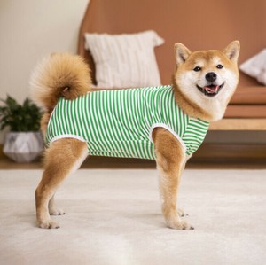 服 犬用 ストライプ 夏 ペット用品  MBQ3546