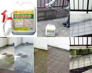 コケ・カビ取り 4L