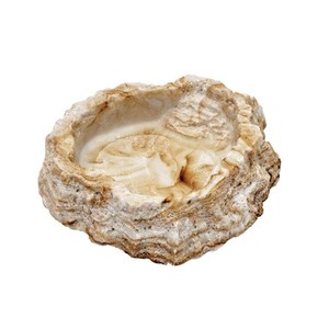 ｽﾄﾞｰ　レプティボウル2 SF 【爬虫類 両生類 エサ入れ 水入れ ペット用品】