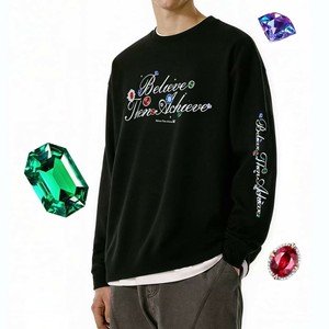 P23376 長袖 Tシャツ 2025秋新作 ロゴ デザイン ファッション クルーネック メンズ