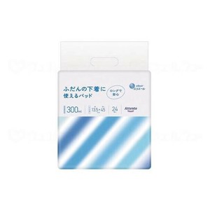 大王製紙 ふだんの下着に使えるパッド 24枚 袋 21000457 875764
