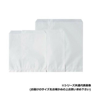 フラット　白平3 500枚 XZK01066