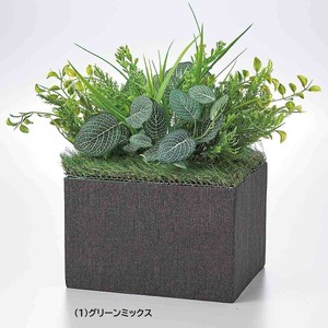 プランターボックス用グリーン
