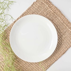 美浓烧 大餐盘/中餐盘 西式餐具 24cm 日本制造