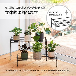 花瓶/花架