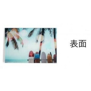 （取り寄せ品）ｶﾞﾗｽｱｰﾄﾋﾟｸﾁｬｰ M M