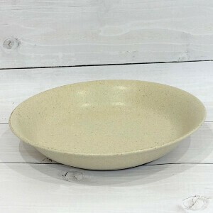 Mino ware Main Plate Made in Japan