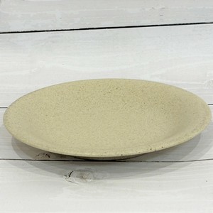Mino ware Main Plate Made in Japan