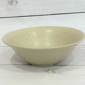 Mino ware Main Plate Made in Japan