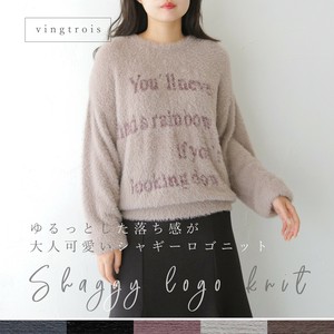 预购 毛衣/针织衫 2025年 粗毛 秋冬新品