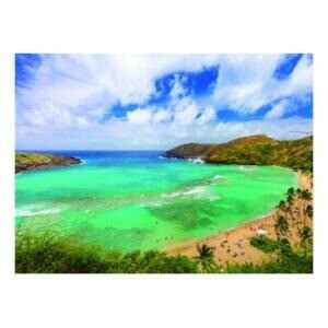 （取り寄せ品）ｶﾞﾗｽｱｰﾄﾋﾟｸﾁｬｰ HANAUMA BAY