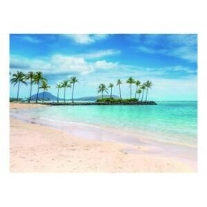 （取り寄せ品）ｶﾞﾗｽｱｰﾄﾋﾟｸﾁｬｰ KAHALA HILTON BEACH