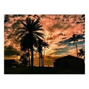 （取り寄せ品）ｶﾞﾗｽｱｰﾄﾋﾟｸﾁｬｰ HALEIWA BEACH HOUSE
