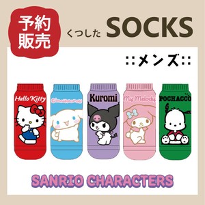 【予約販売】(1月入荷予定) ラージサイズ靴下"サンリオ"