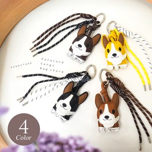 小包 柴犬 柯基 狗