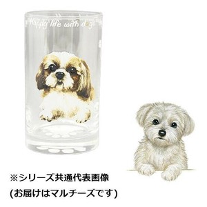 わんコレ ガラスタンブラー マルチーズ　wa-gt-S25