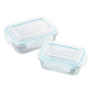 オーブンレンジ対応耐熱ガラス保存容器2pcs 7041289 5107-481