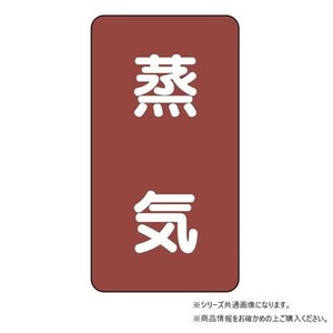 ユニット 配管ステッカー　蒸気(極小) AST-2SS