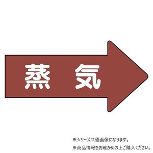 ユニット 配管ステッカー　右方向表示　蒸気(小) AS-41S