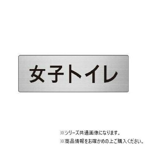 ユニット 女子トイレ　片面表示 RS6-11