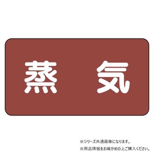 ユニット 配管識別ステッカー　蒸気(大) AS-2L