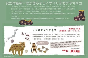 袜子