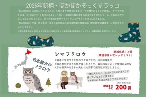 袜子 猫头鹰