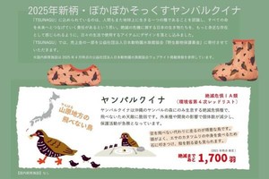 袜子