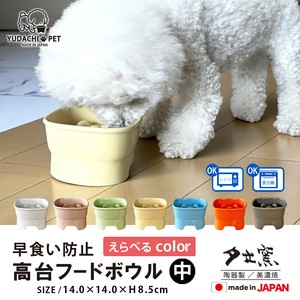 Mino ware Dog Bowl Gift Food Bowl Made in Japan