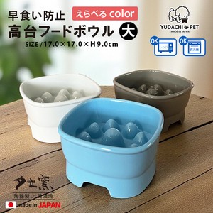 Mino ware Dog Bowl Gift Food Bowl L size Made in Japan