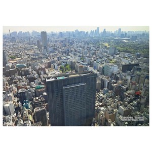 300Pジグソー シリーズ日本の都市10 東京都新宿区「歌舞伎町」　300-328
